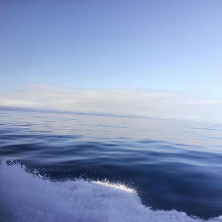 七十腳落背包客棧 Vandrarhem Gröna ön Exteriör bild